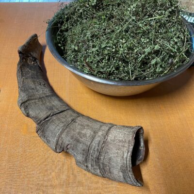 Ibex horn and mountain herbs at Rifugio Locanda Codera